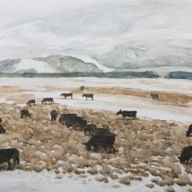 Winter Plains with Cows